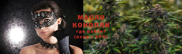сатива Армянск