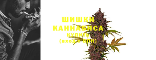 сатива Армянск