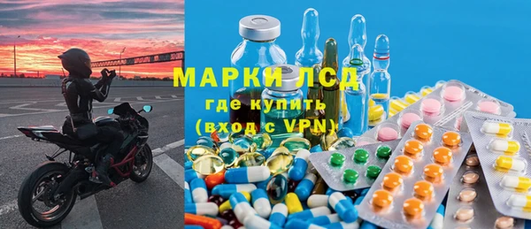 сатива Армянск