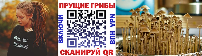 Галлюциногенные грибы MAGIC MUSHROOMS где найти наркотики гидра как войти Пущино