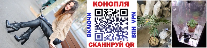 как найти закладки  Пущино  Каннабис планчик 